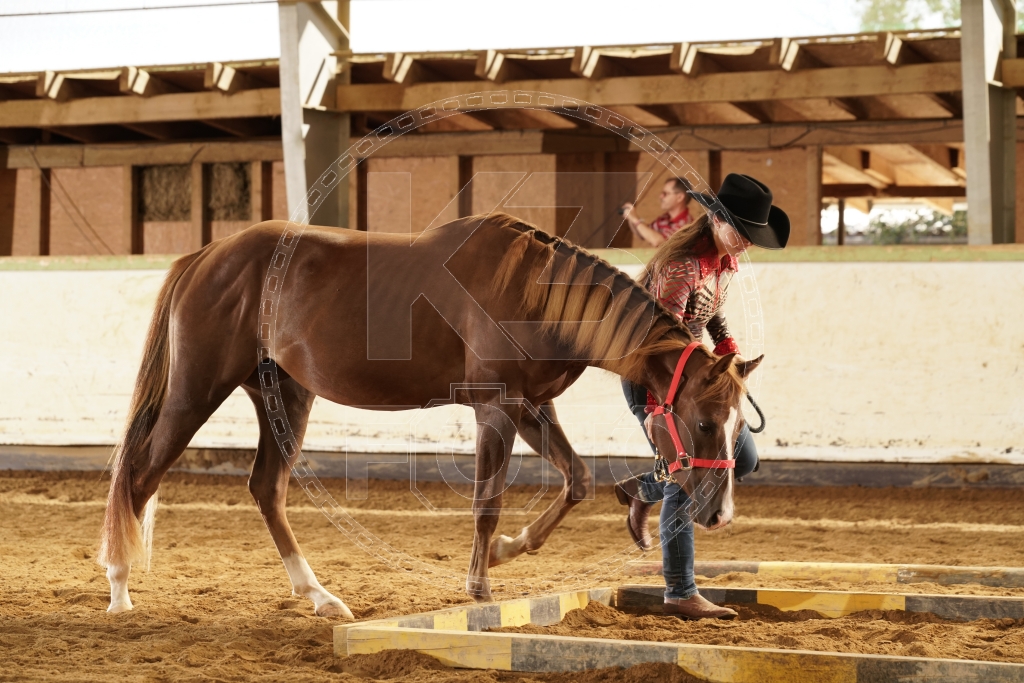 s_K3F03094.JPG